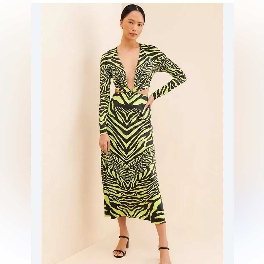 Zebra Print Long Sleeve Dress